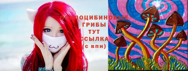 бошки Зерноград